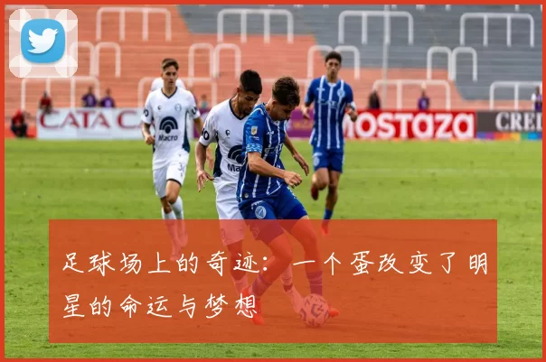足球场上的奇迹：一个蛋改变了明星的命运与梦想