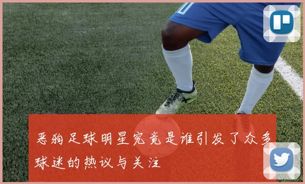 恶狗足球明星究竟是谁引发了众多球迷的热议与关注