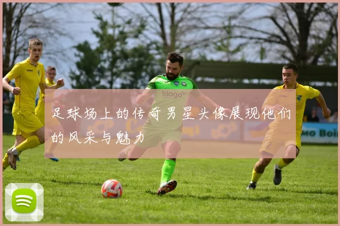 足球场上的传奇男星头像展现他们的风采与魅力