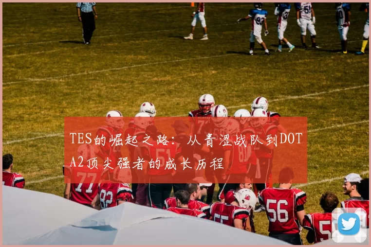 TES的崛起之路：从青涩战队到DOTA2顶尖强者的成长历程