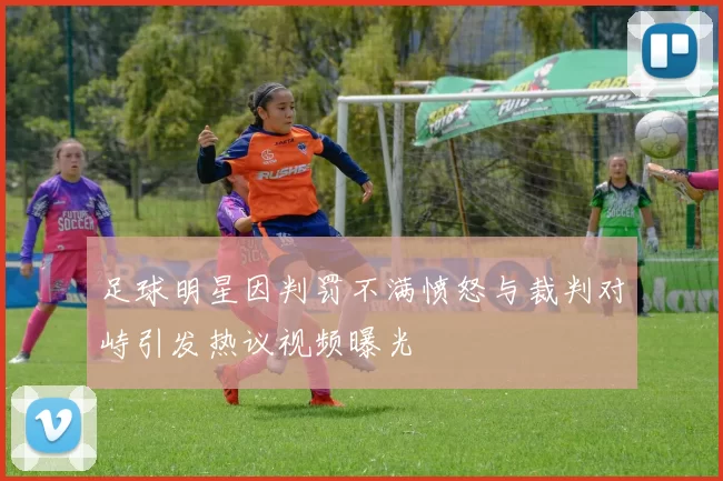足球明星因判罚不满愤怒与裁判对峙引发热议视频曝光