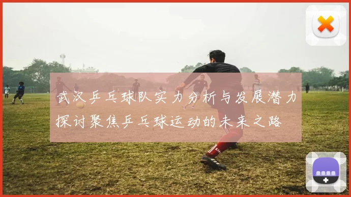 武汉乒乓球队实力分析与发展潜力探讨聚焦乒乓球运动的未来之路