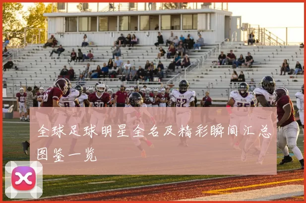 全球足球明星全名及精彩瞬间汇总图鉴一览