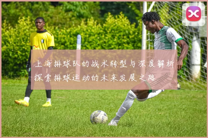上海排球队的战术转型与深度解析探索排球运动的未来发展之路