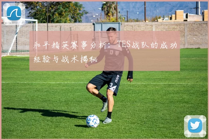 和平精英赛事分析：TES战队的成功经验与战术揭秘