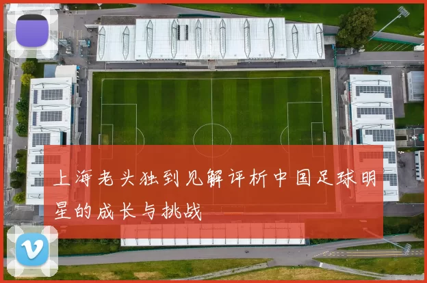 上海老头独到见解评析中国足球明星的成长与挑战