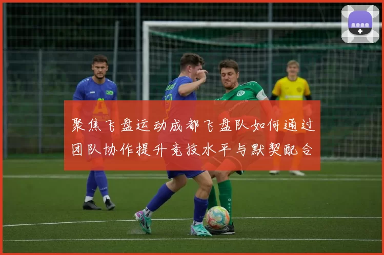 聚焦飞盘运动成都飞盘队如何通过团队协作提升竞技水平与默契配合