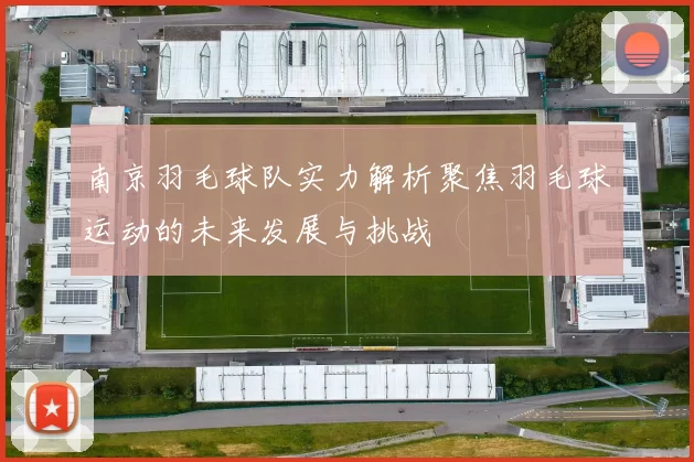 南京羽毛球队实力解析聚焦羽毛球运动的未来发展与挑战