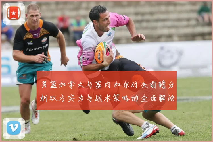 男篮加拿大与塞内加尔对决前瞻分析双方实力与战术策略的全面解读