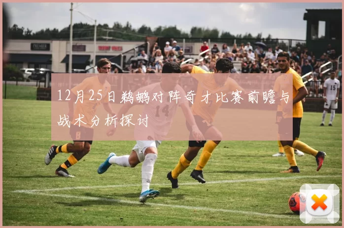 12月25日鹈鹕对阵奇才比赛前瞻与战术分析探讨