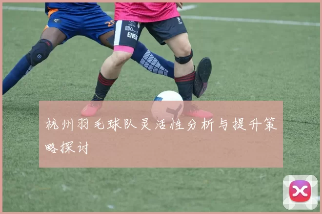 杭州羽毛球队灵活性分析与提升策略探讨