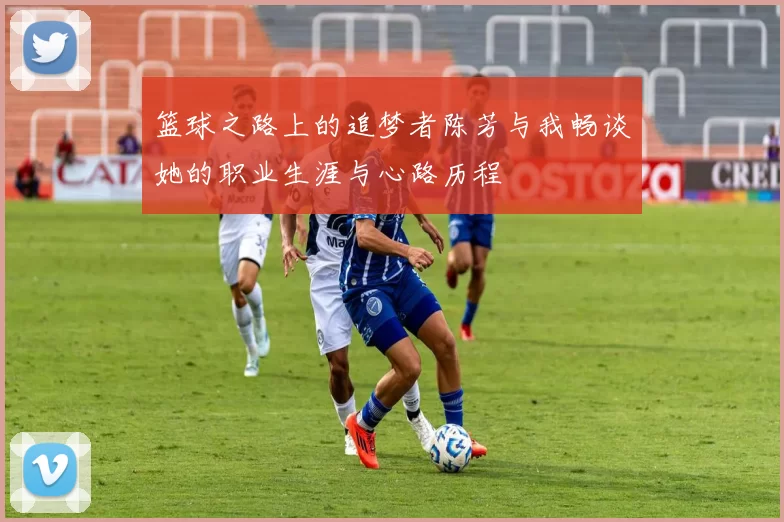 篮球之路上的追梦者陈芳与我畅谈她的职业生涯与心路历程