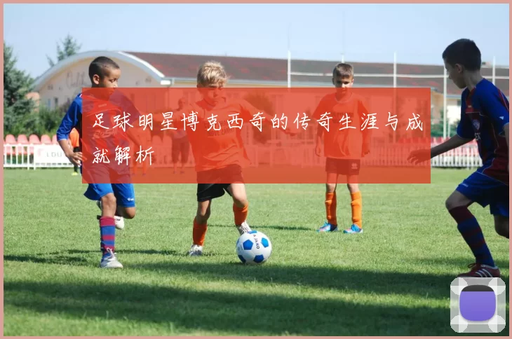 足球明星博克西奇的传奇生涯与成就解析