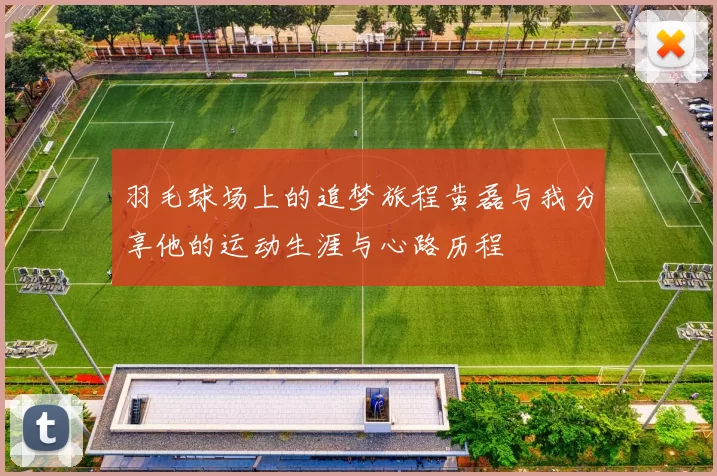 羽毛球场上的追梦旅程黄磊与我分享他的运动生涯与心路历程