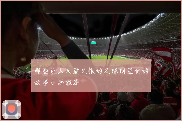 那些让人又爱又恨的足球明星们的故事小说推荐