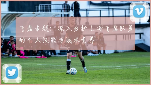 飞盘专题：深入分析上海飞盘队员的个人技能与战术素养