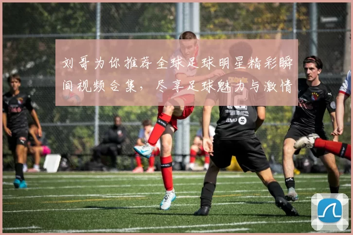 刘哥为你推荐全球足球明星精彩瞬间视频合集，尽享足球魅力与激情时刻