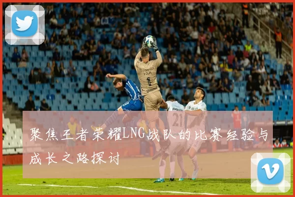 聚焦王者荣耀LNG战队的比赛经验与成长之路探讨