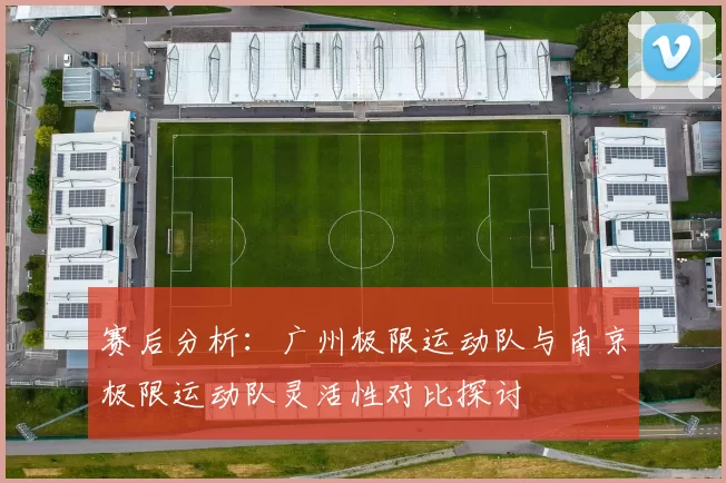 赛后分析：广州极限运动队与南京极限运动队灵活性对比探讨